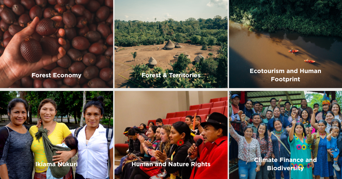 Fundación Pachamama 6 strategic programs