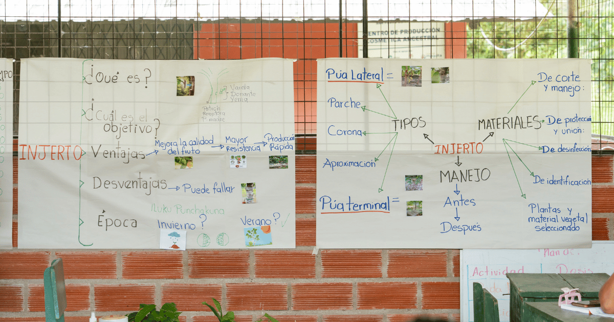 Hand written presentation notes from Farmer Field School session