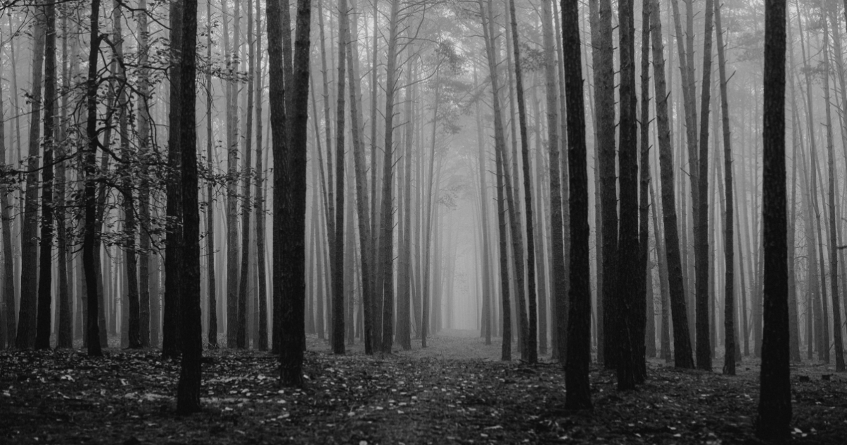 A Whisper Beneath the Noise