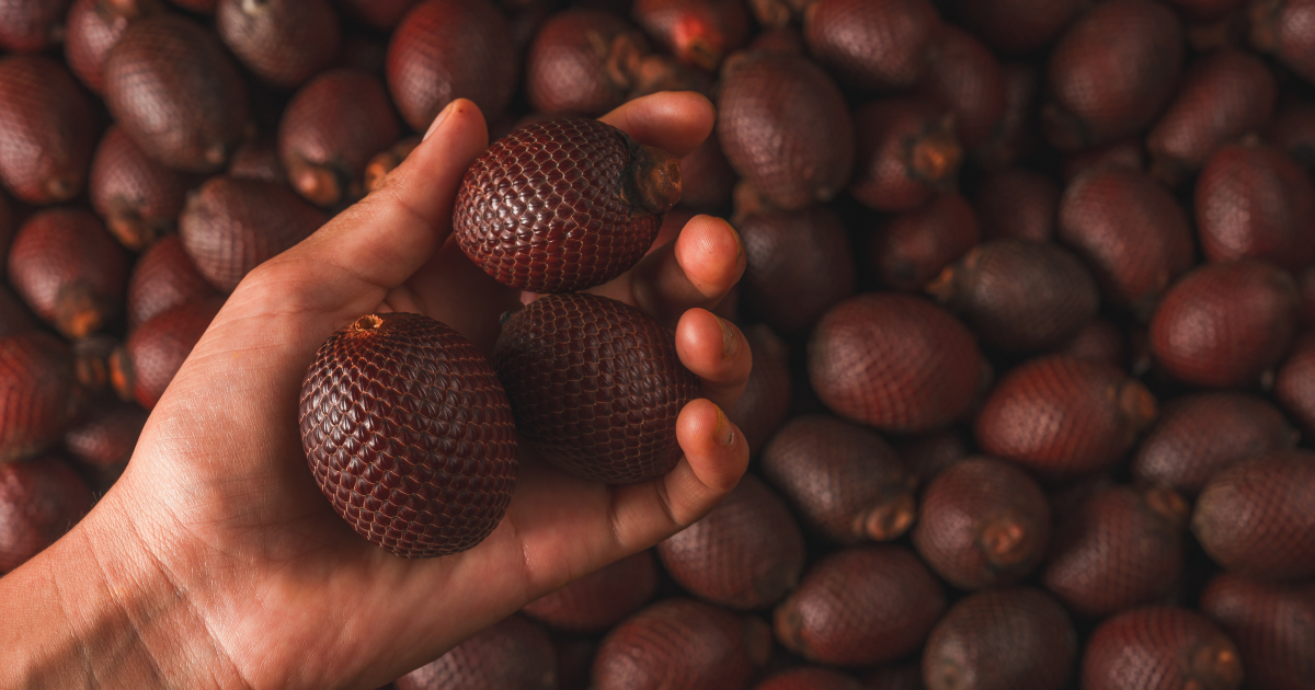 morete, an amazonian superfruit