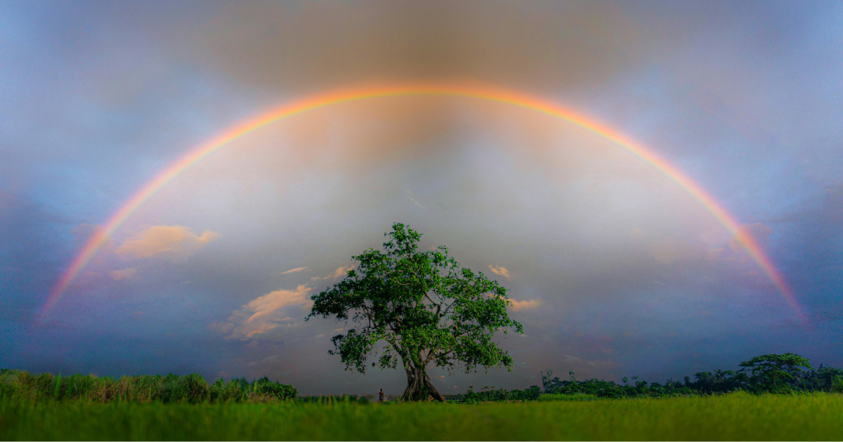 Crisis as the Portal to Interdepence