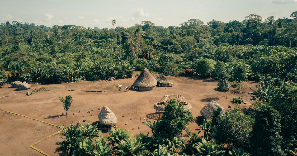 Indigenious Forest & Territory: Community-Led Conservation