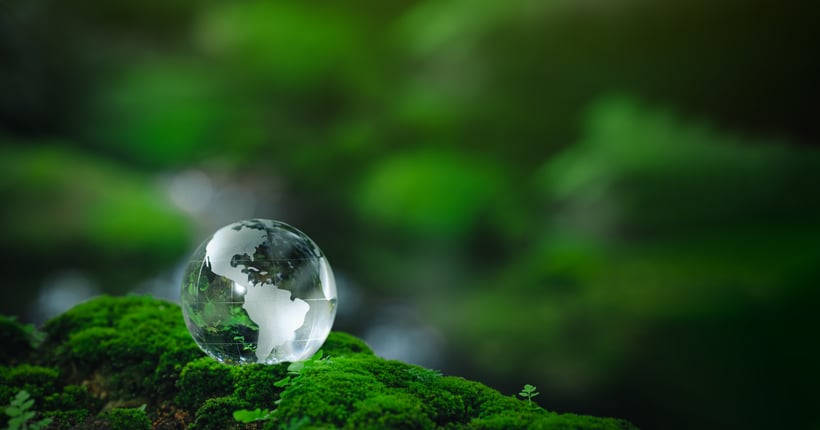 Direct Action as Ceremony