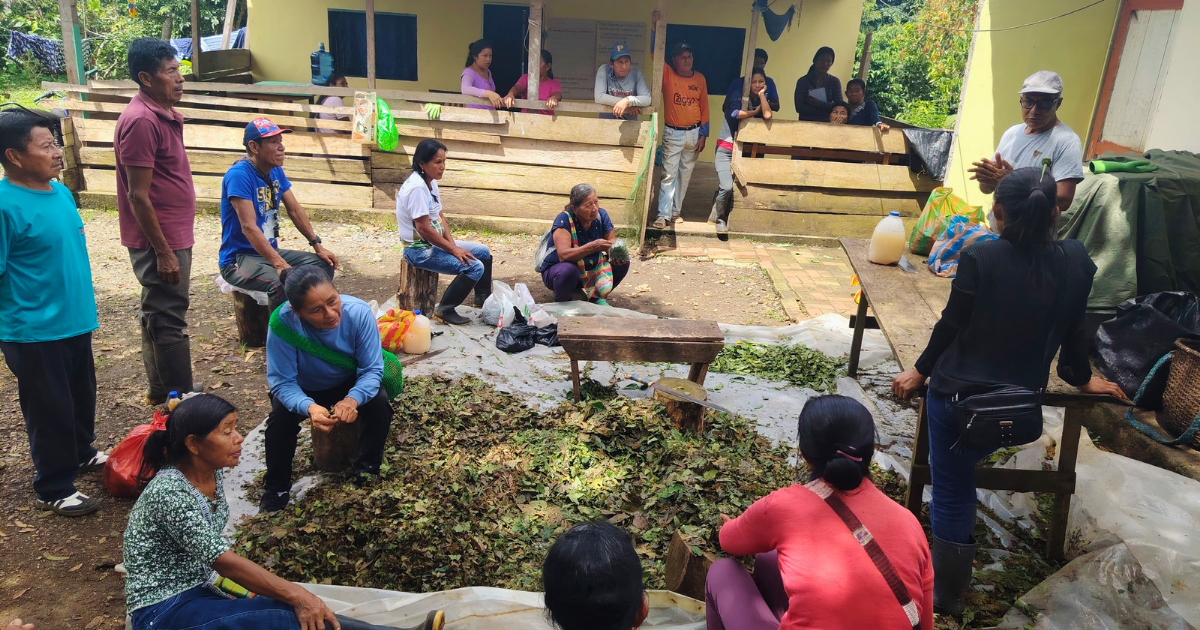 Farmers Field School Sept26 Update 4