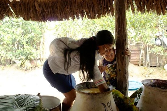 Sarayaku chicha Woman mixing chicha for Sarayaku community celebration