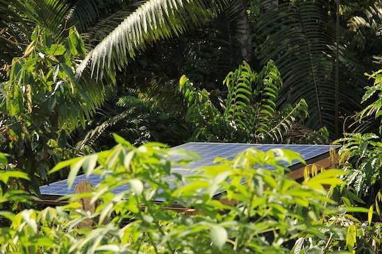 Solar panels seen through the jungle in Ecuador's Amazon rainforest