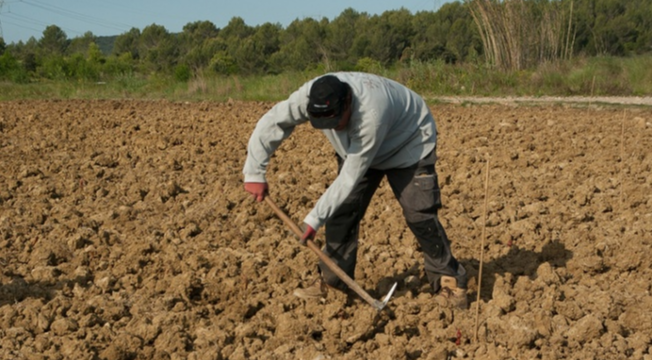 farmer tilling soil