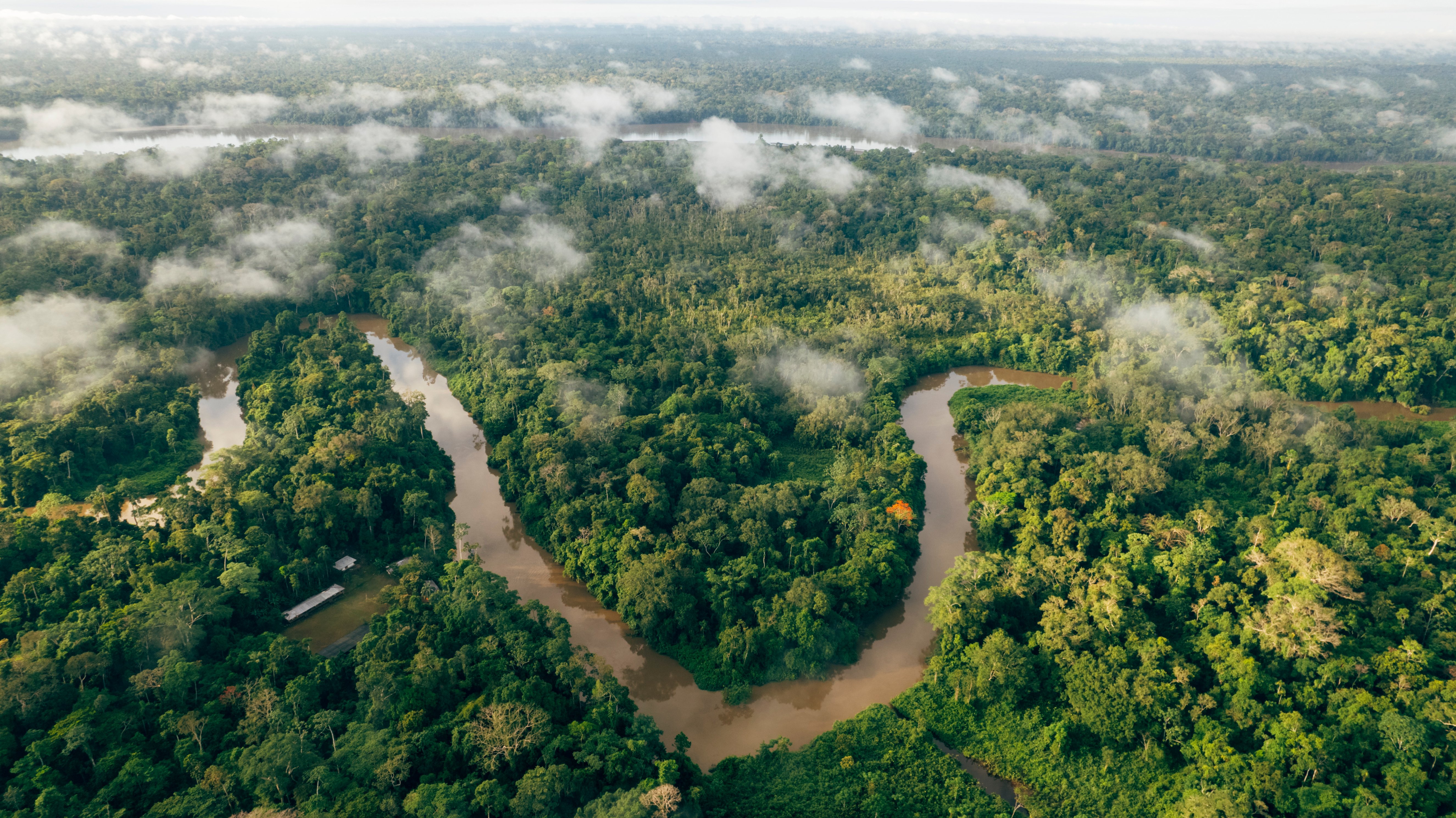 Aerial view of the Amazon