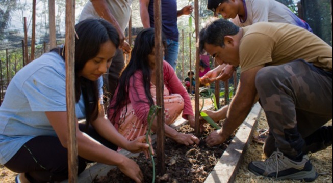 Building Sustainable Forest Economies as Alternatives to Oil, Mining, and Logging