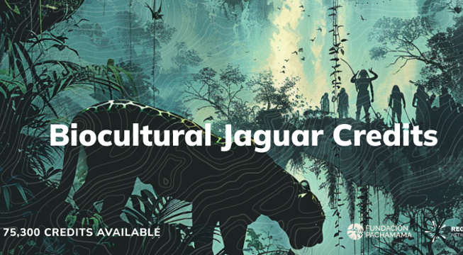 A New Approach to Conservation: Biocultural Jaguar Credits