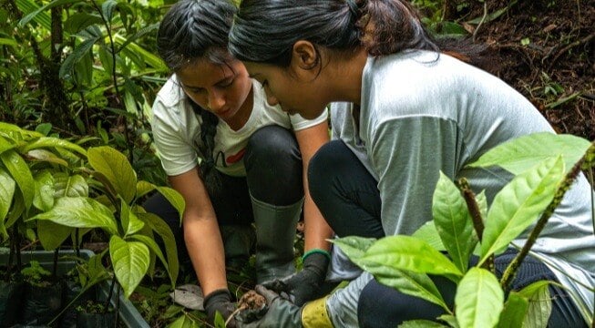 Reforestation Efforts in Ecuador's Sacred Headwaters Region
