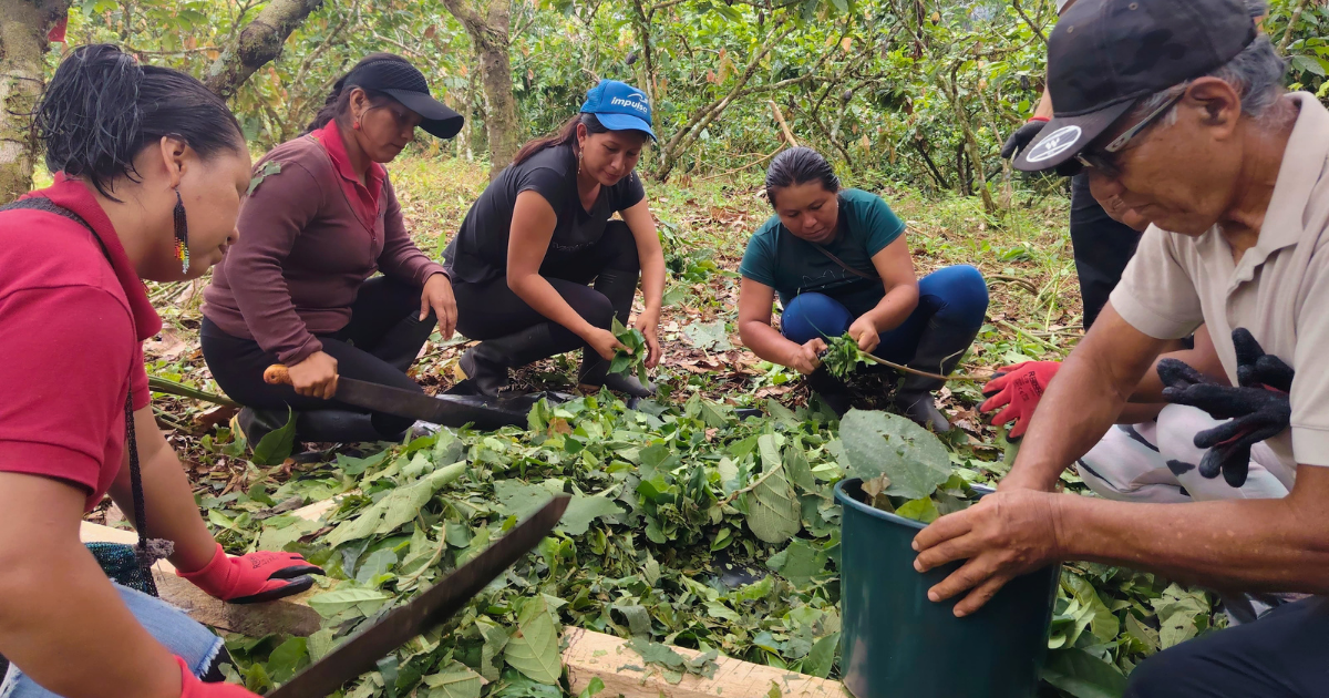Learning from the Land: Farmer Field Schools Strengthen Amazonian Chakras